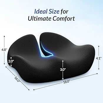 Pioneering Ergonomic Seat Cushions