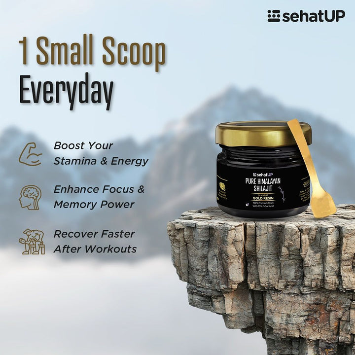Himalayan Shilajit - Dietary Supplement (Original)