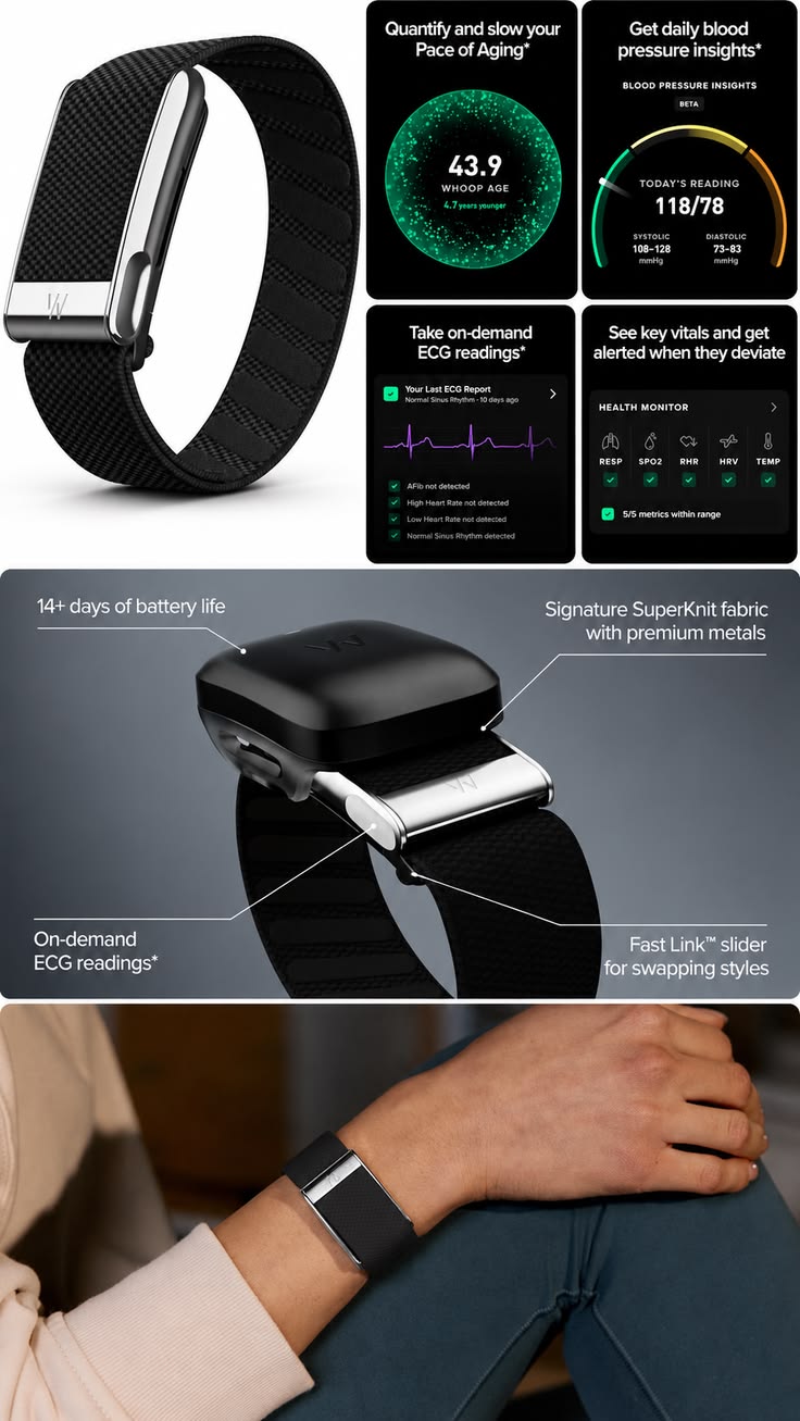 Health Fitness Wearable Blood Pressure Insights Tracker Master Version